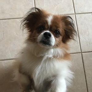 Meet your Posher, Madison